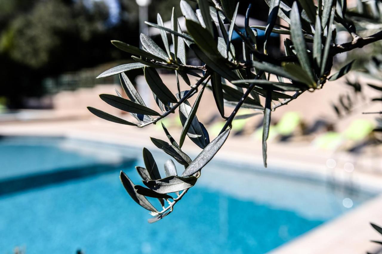 Les Arbousiers Village Hotel Provencal La Roquebrussanne Екстер'єр фото